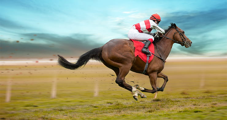 Image of racing horse